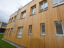 Kanadský modřín