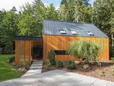 Canadian larch
