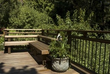 Western Red Cedar decking 