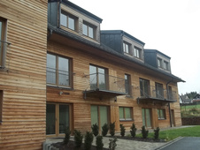 Siberian Larch siding