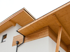 Siberian Larch siding